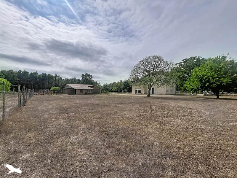 Vente Maison LARUSCADE - 5 pièces -233,7 m² - (33620)