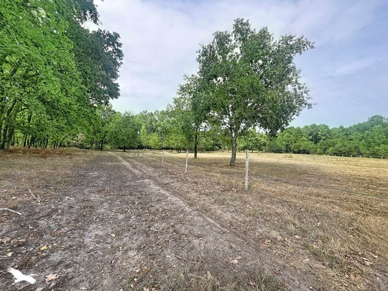 Vente Maison LARUSCADE - 5 pièces -233,7 m² - (33620)