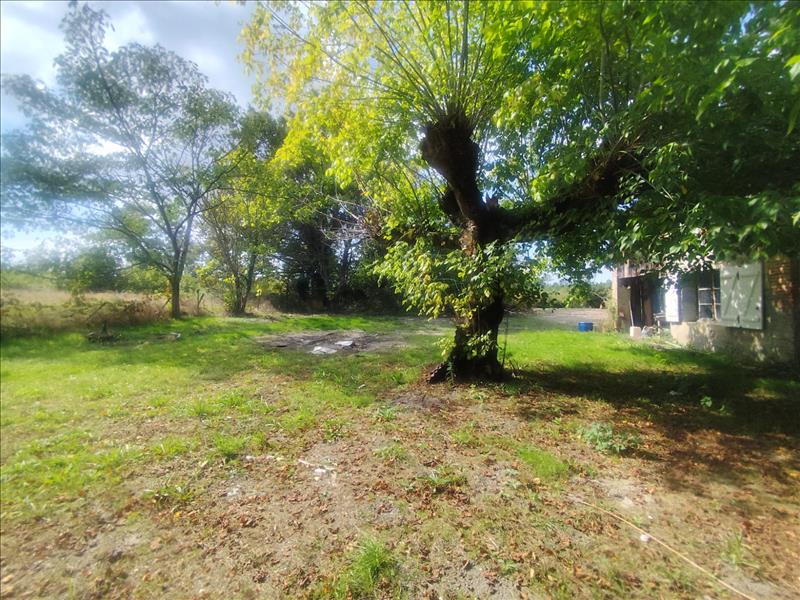 Vente Maison LAPOUYADE - 6 pièces -151 m² - (33620)