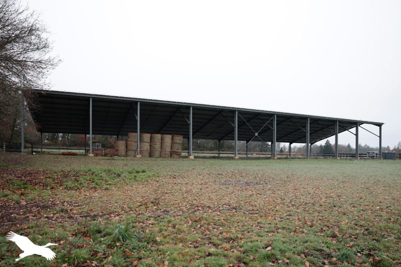 Vente Maison TERRES DE HAUTE CHARENTE - 4 pièces -138 m² - (16270)