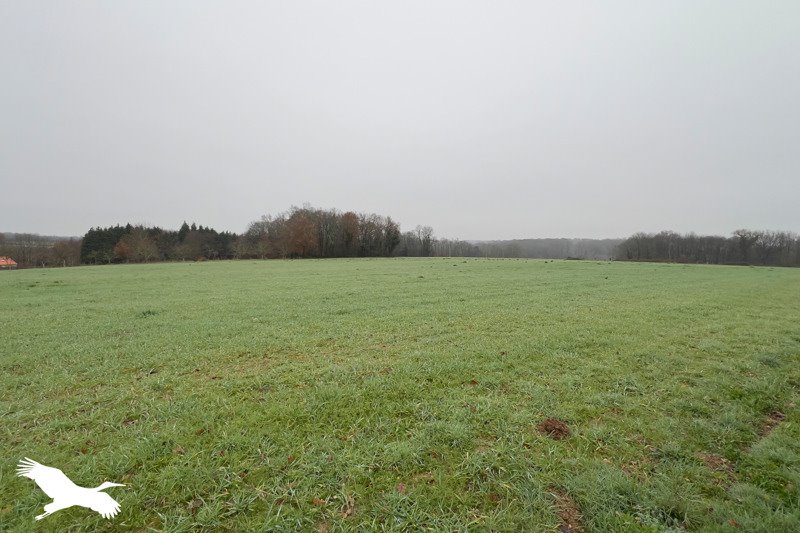 Vente Maison TERRES DE HAUTE CHARENTE - 4 pièces -138 m² - (16270)