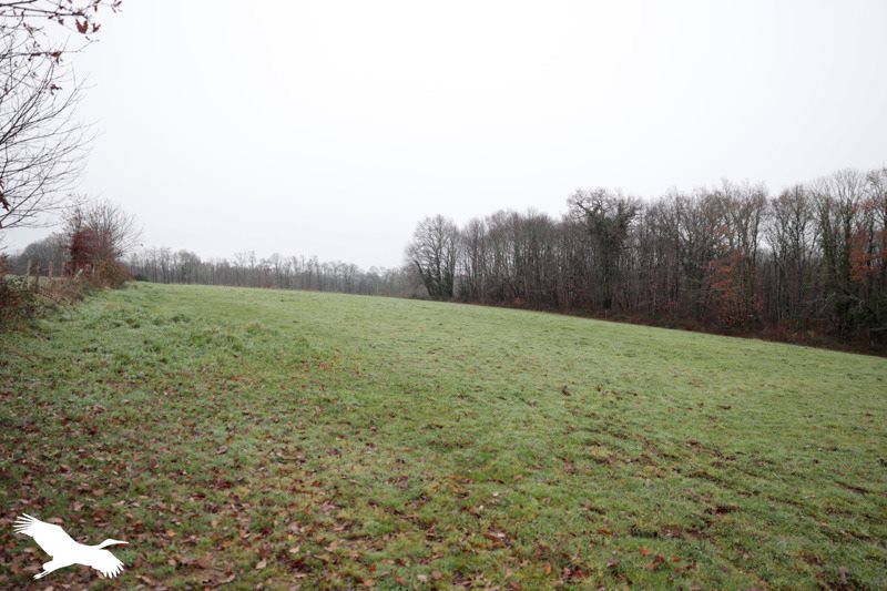Vente Maison TERRES DE HAUTE CHARENTE - 4 pièces -138 m² - (16270)