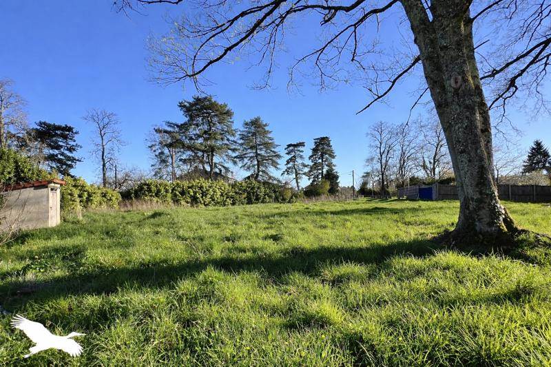 Vente Maison CONFOLENS - 10 pièces -353,1 m² - (16500)