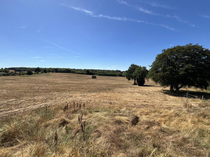 Vente Grange ANSAC SUR VIENNE - 1 pièce -184 m² - (16500)