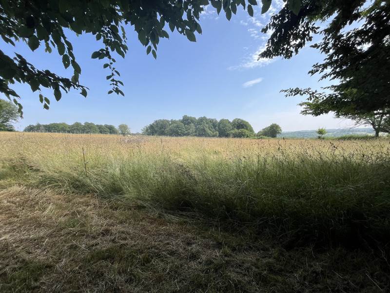 Vente Maison TERRES DE HAUTE CHARENTE - 3 pièces -124,6 m² - (16270)