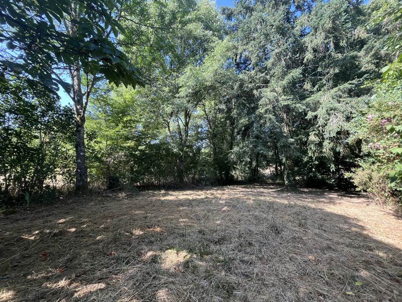 Vente Maison CHIRAC - 6 pièces -93,5 m² - (16150)