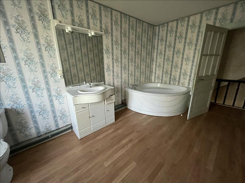 Vente Maison TERRES DE HAUTE CHARENTE - 10 pièces -290 m² - (16270)