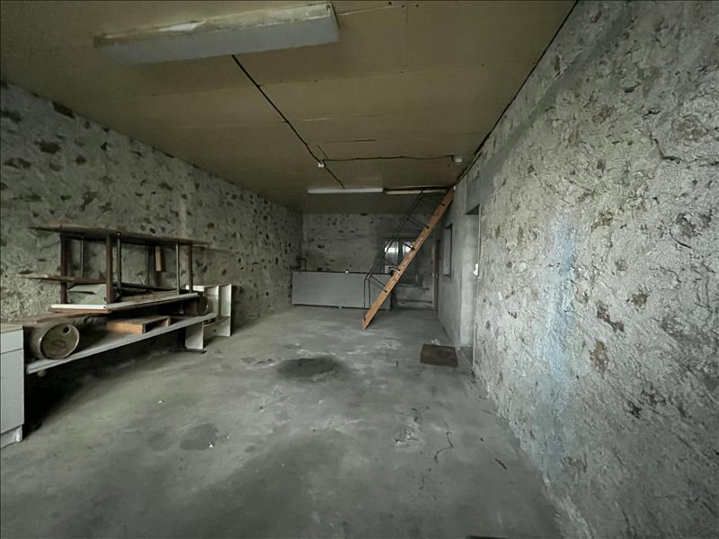 Vente Maison TERRES DE HAUTE CHARENTE - 10 pièces -290 m² - (16270)