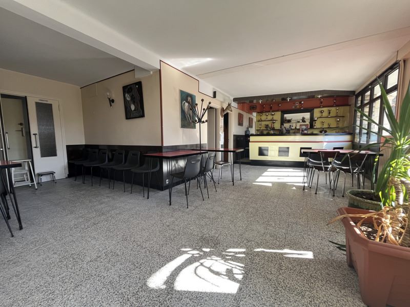 Vente Maison ANSAC SUR VIENNE - 11 pièces -250 m² - (16500)