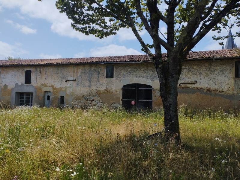 Vente Maison DONZACQ - 15 pièces -480 m² - (40360)