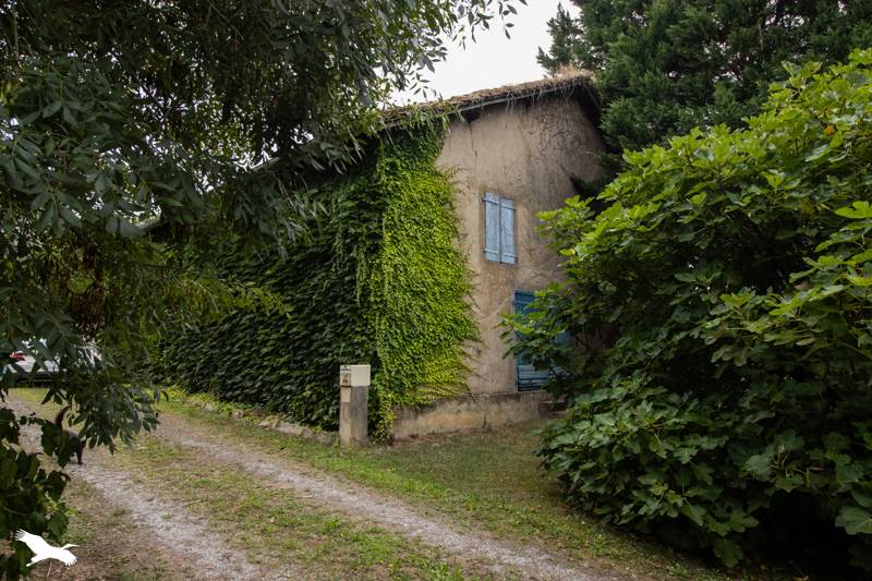 Vente Maison GARREY - 8 pièces -190 m² - (40180)