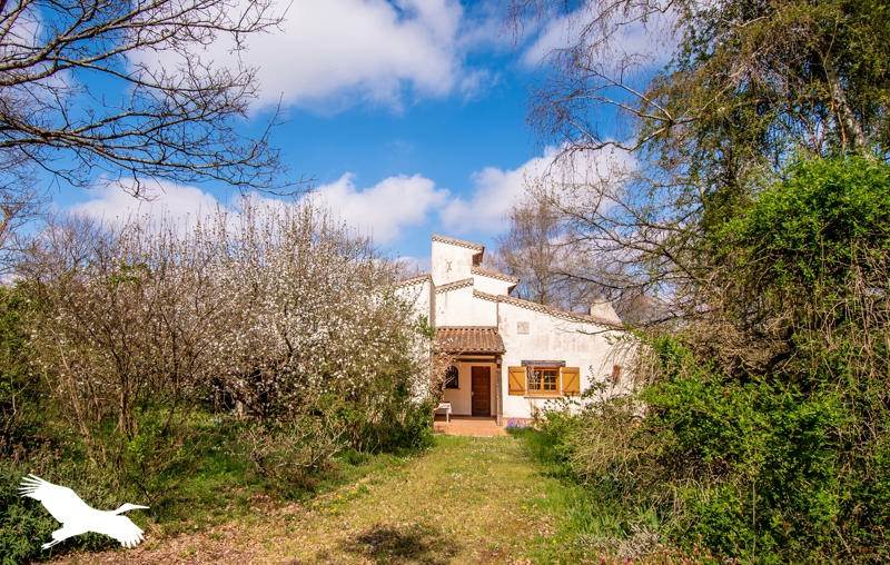 Vente Maison SAVERDUN - 9 pièces -220 m² - (09700)