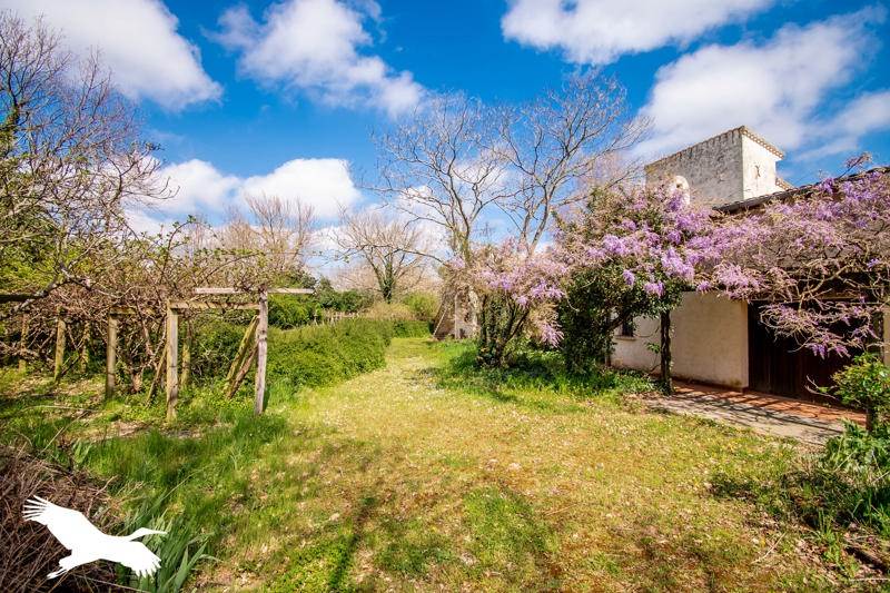 Vente Maison SAVERDUN - 9 pièces -220 m² - (09700)