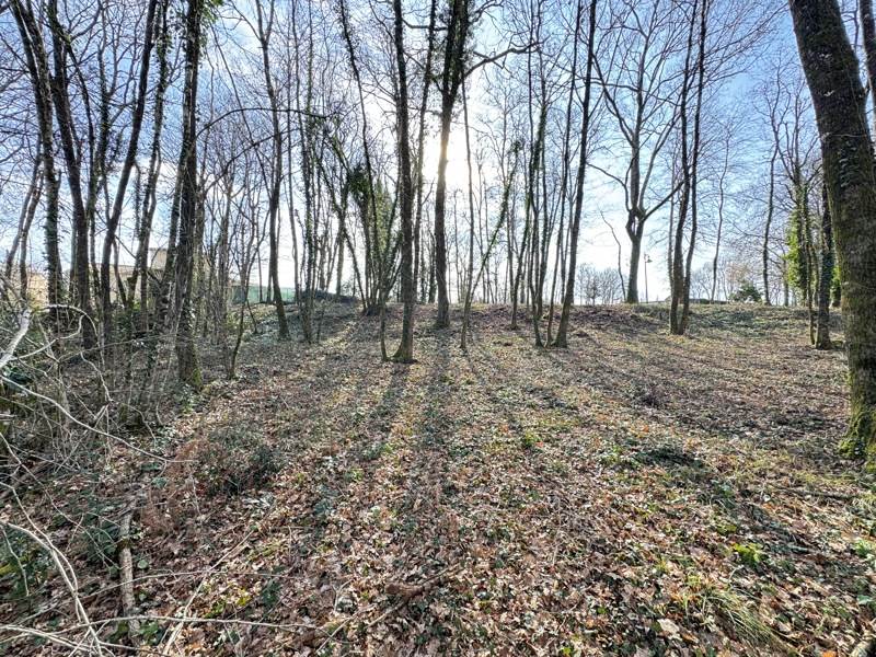 Vente Terrain PUYMOYEN - -1002 m² - (16400)