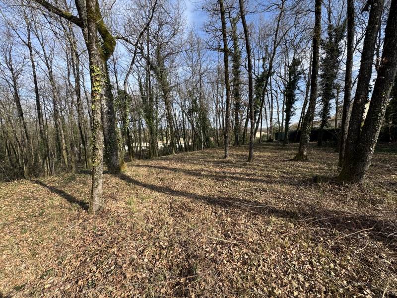 Vente Terrain PUYMOYEN - -1002 m² - (16400)