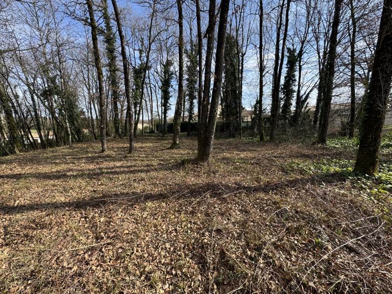 Vente Terrain PUYMOYEN - -1002 m² - (16400)