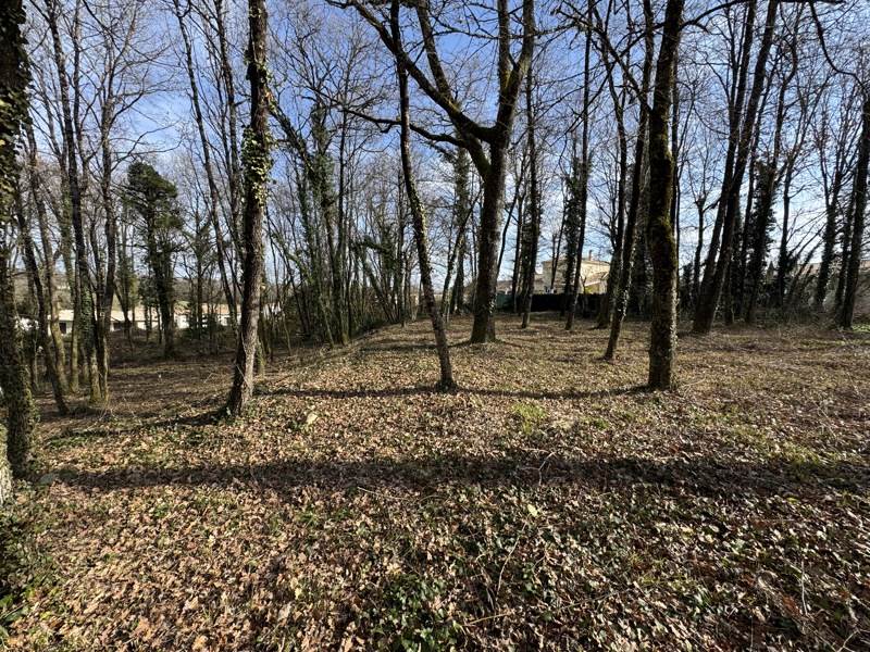Vente Terrain PUYMOYEN - -1002 m² - (16400)