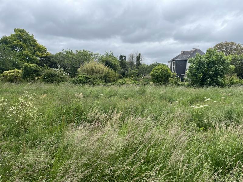 Vente Terrain CLOHARS CARNOET - -852 m² - (29360)
