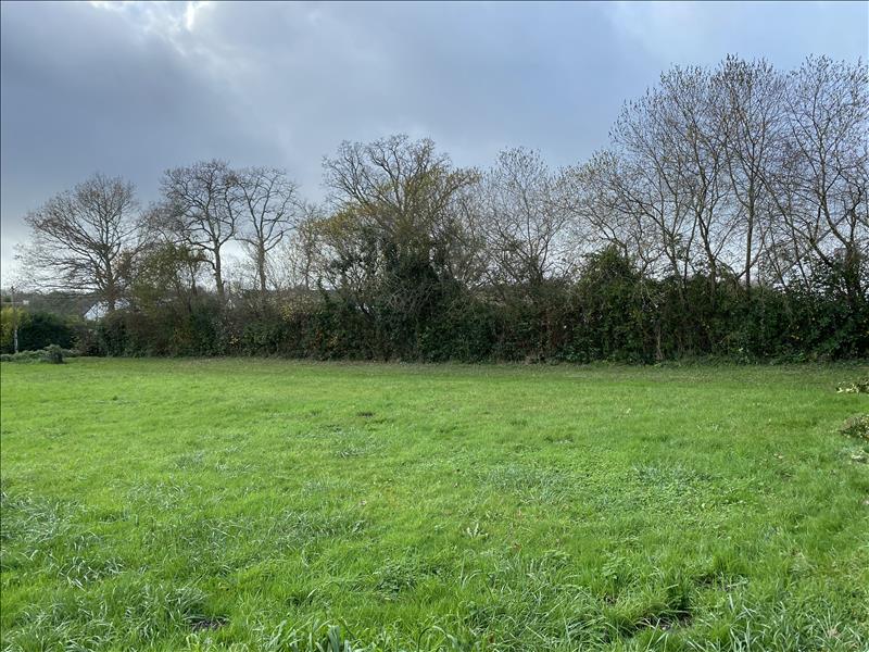 Vente Terrain PLEUVEN - -953 m² - (29170)