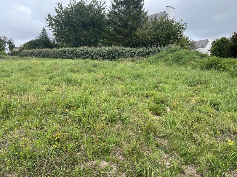 Vente Terrain ST EVARZEC - -553 m² - (29170)