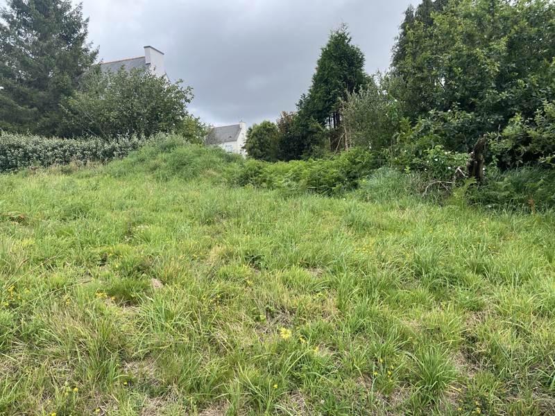 Vente Terrain ST EVARZEC - -553 m² - (29170)