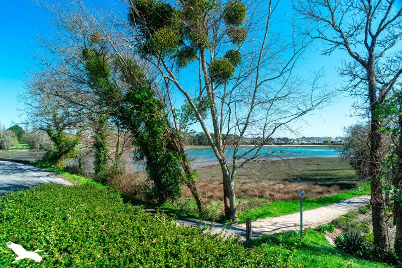 Vente Maison LA FORET FOUESNANT - 10 pièces -226 m² - (29940)