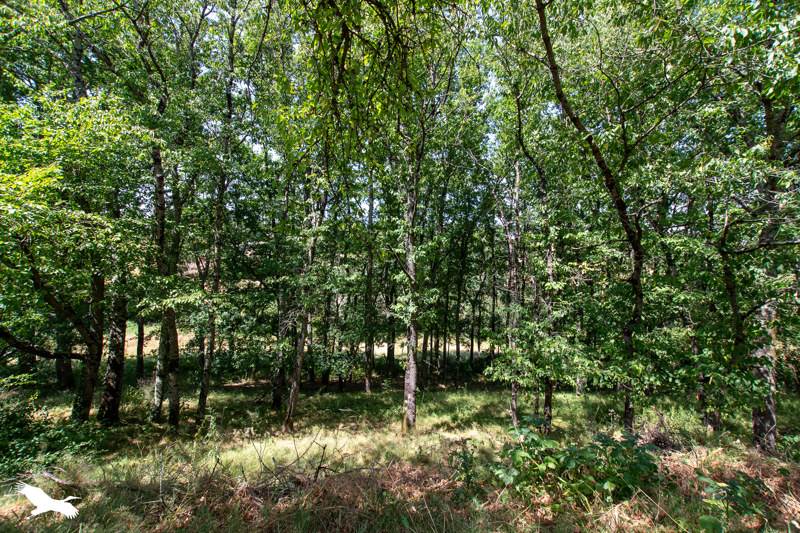 Vente Maison RIEUMES - 5 pièces -100 m² - (31370)