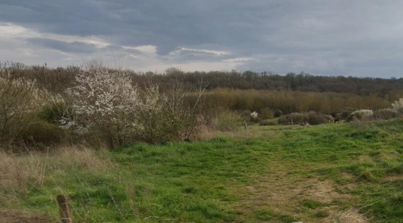 Vente Terrain BEAUFORT - -107600 m² - (31370)