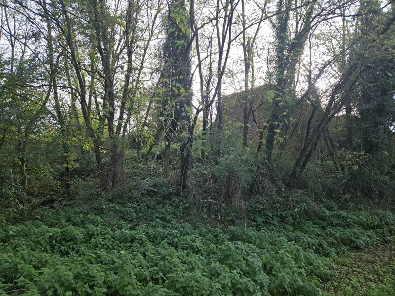 Vente Grange FORGUES - 1 pièce - - (31370)
