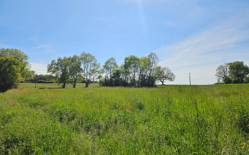 Vente Terrain FORGUES - -2100 m² - (31370)