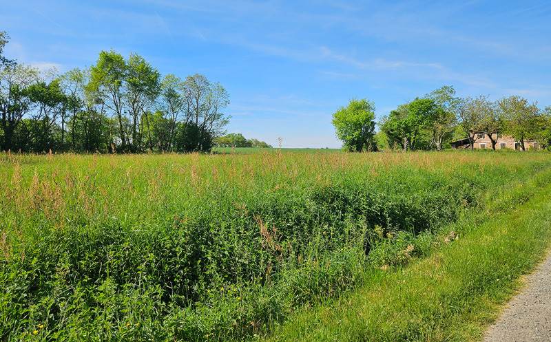 Vente Terrain FORGUES - -2100 m² - (31370)