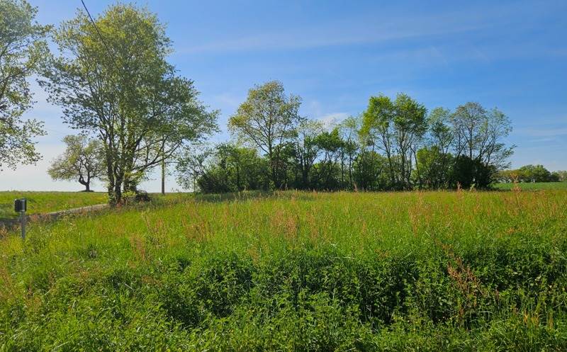 Vente Terrain FORGUES - -1060 m² - (31370)