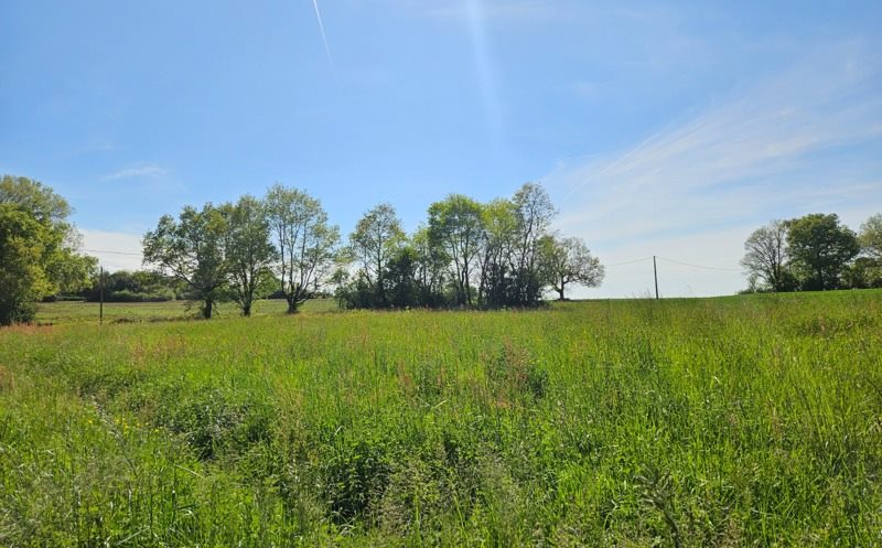 Vente Terrain FORGUES - -1040 m² - (31370)
