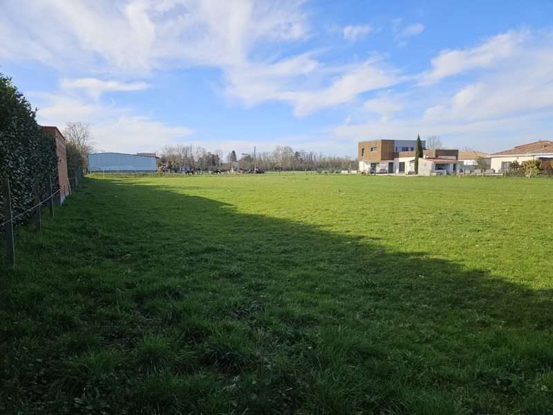 Vente Terrain Longages - -2590 m² - (31410)