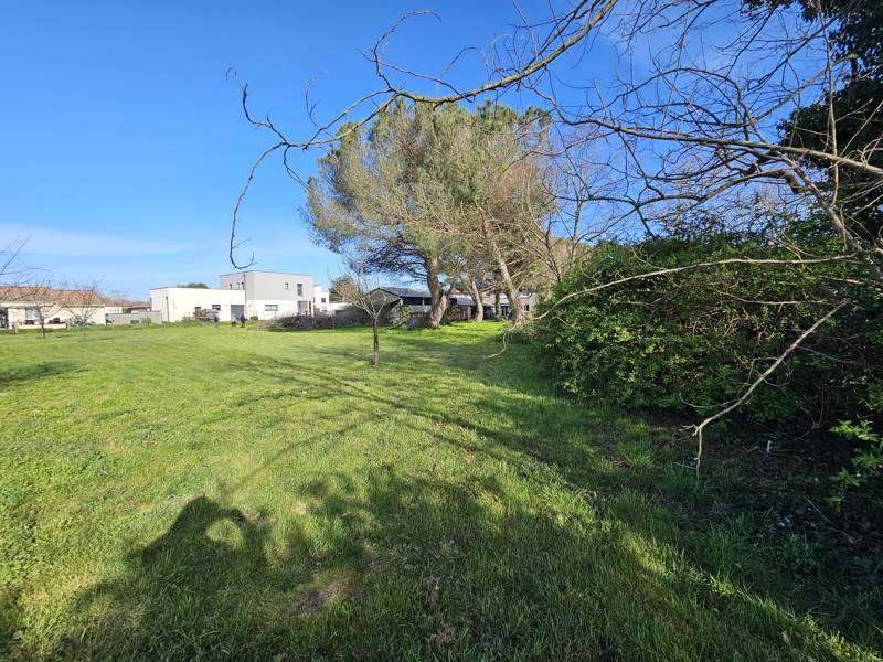 Vente Terrain Longages - -2590 m² - (31410)