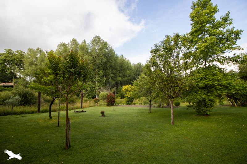 Vente Maison ST ANDRE DE SEIGNANX - 5 pièces -140 m² - (40390)
