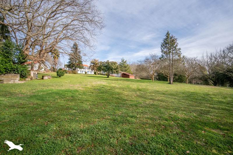Vente Terrain ST ETIENNE D ORTHE - -727 m² - (40300)