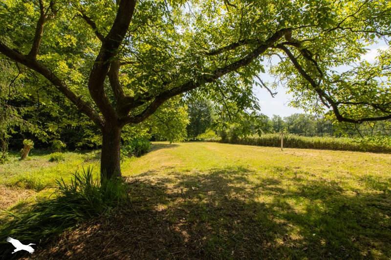 Vente Maison PEYREHORADE - 5 pièces -155 m² - (40300)