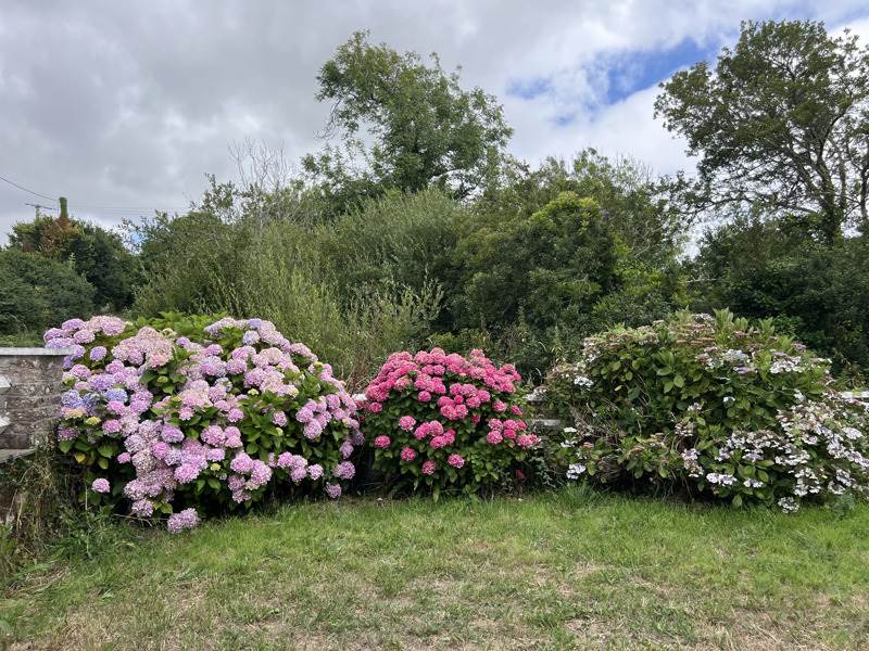 Vente Maison CLEDEN CAP SIZUN - 4 pièces -152 m² - (29770)