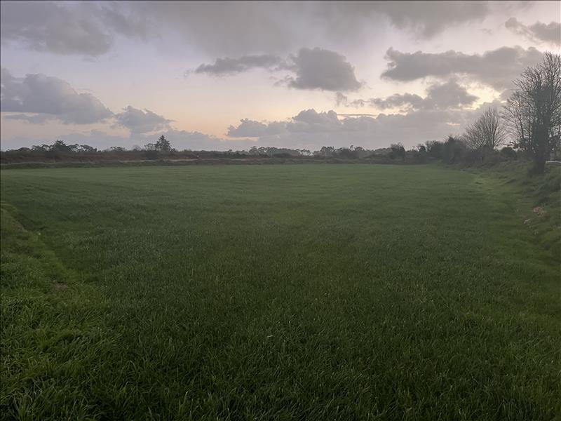 Vente Terrain PLOUHINEC - -4000 m² - (29780)