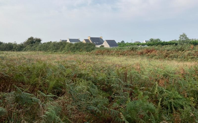 Vente Terrain PLOUHINEC - -2012 m² - (29780)