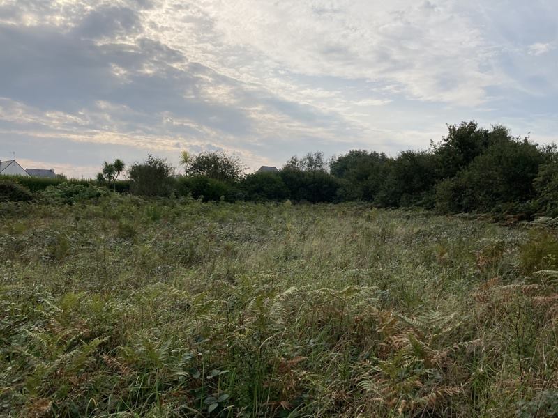 Vente Terrain PLOUHINEC - -2012 m² - (29780)