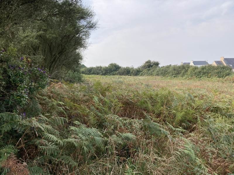 Vente Terrain PLOUHINEC - -2012 m² - (29780)