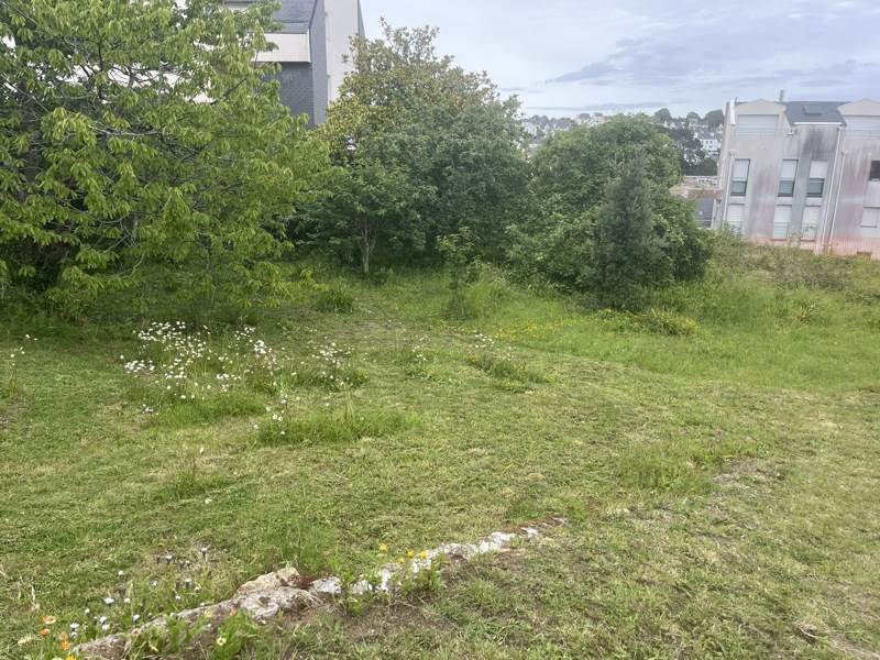 Vente Terrain AUDIERNE - -658 m² - (29770)