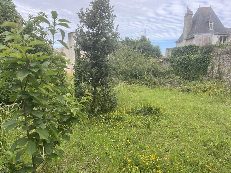 Vente Terrain AUDIERNE - -658 m² - (29770)