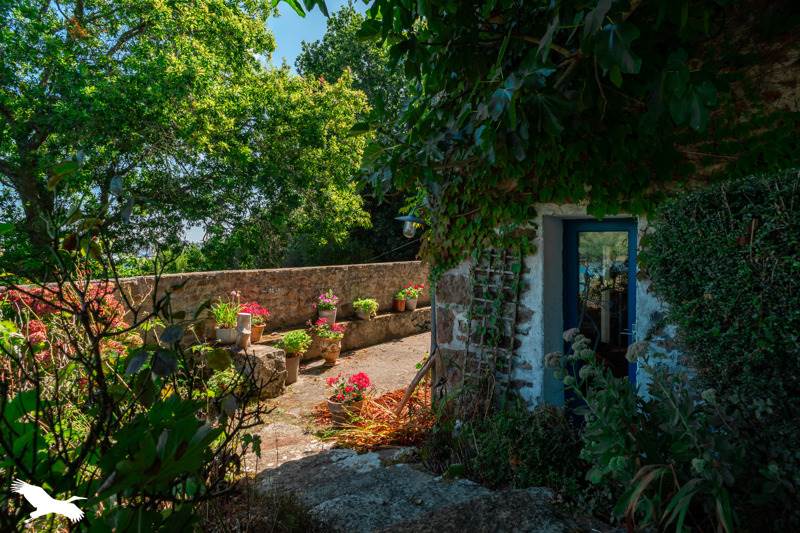 Vente Maison Audierne - 6 pièces -90 m² - (29770)