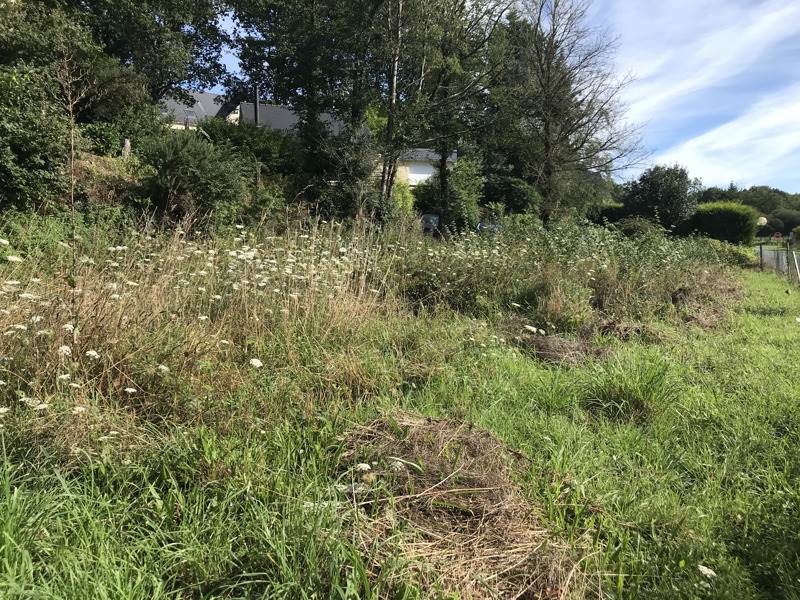 Vente Terrain PLOUNEVEZEL - -455 m² - (29270)