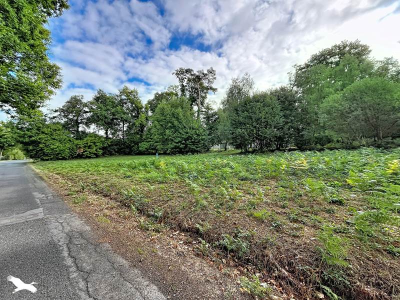 Vente Terrain Treffrin - -1652 m² - (22340)