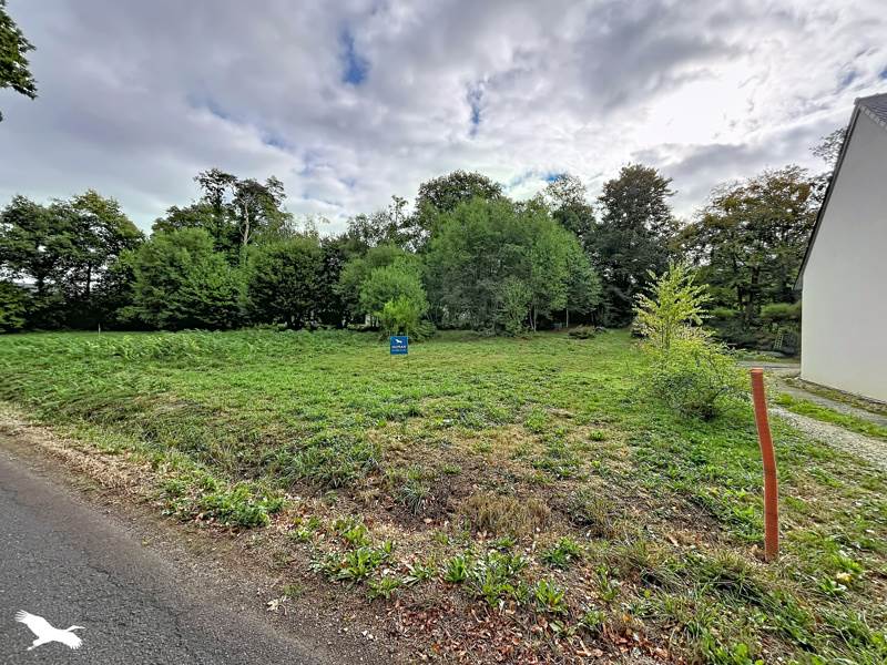 Vente Terrain Treffrin - -1155 m² - (22340)