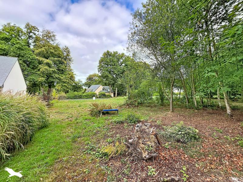 Vente Terrain Treffrin - -1155 m² - (22340)